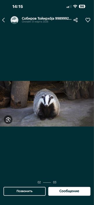 Bursuchniy jir gusiniy jir )₽₽₽₽