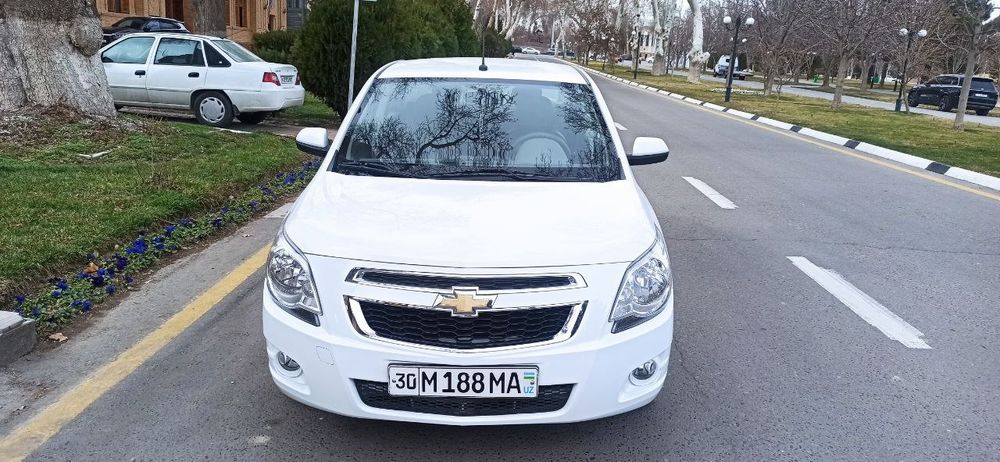 Кобольт белый 2021г.