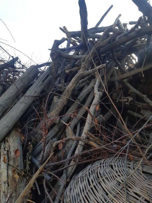 kelishilgan narxda o'tin sotiladi