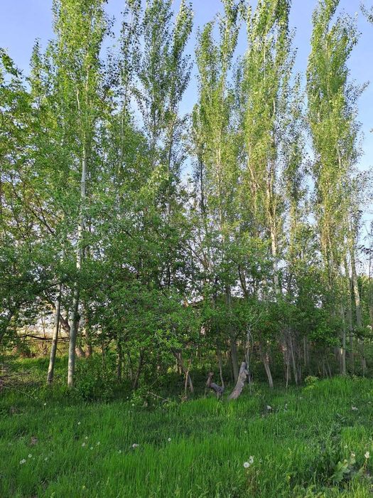 Ер сотилади СРОЧНА!!!