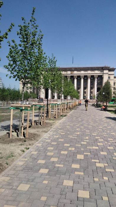 Колья оцилиндрованные для подвязки крупных деревьев