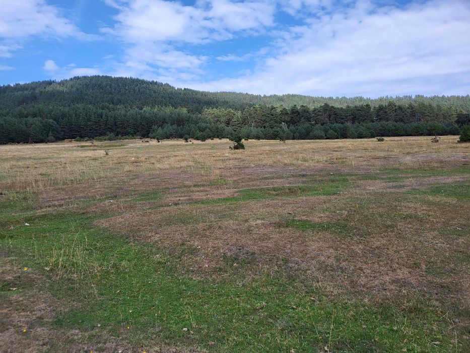 Продава се Парцел в Батак - 5000 кв.м за 16 €/кв.м - Снимка #3