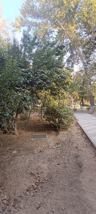 Свая Чилонзор 12 3/1/4 Вдол дороги