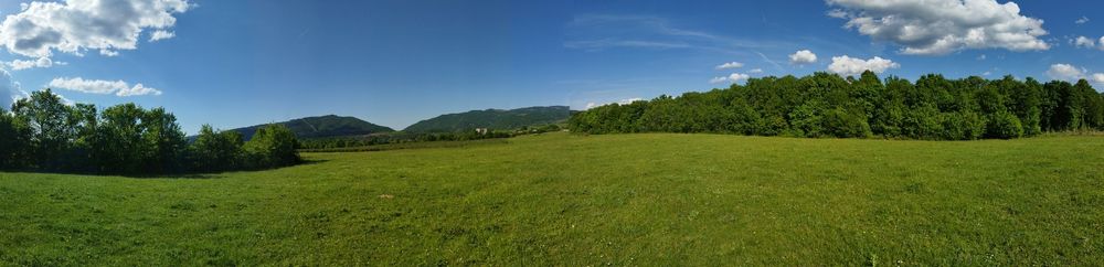 Продава се Земеделски имот в Елена -  кв.м за 2232 €/дка - Снимка #7