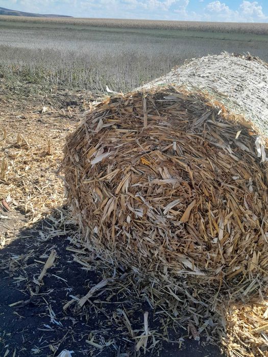 Baloți de tocatura