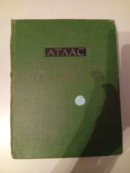 Атлас Анатомии Человека
