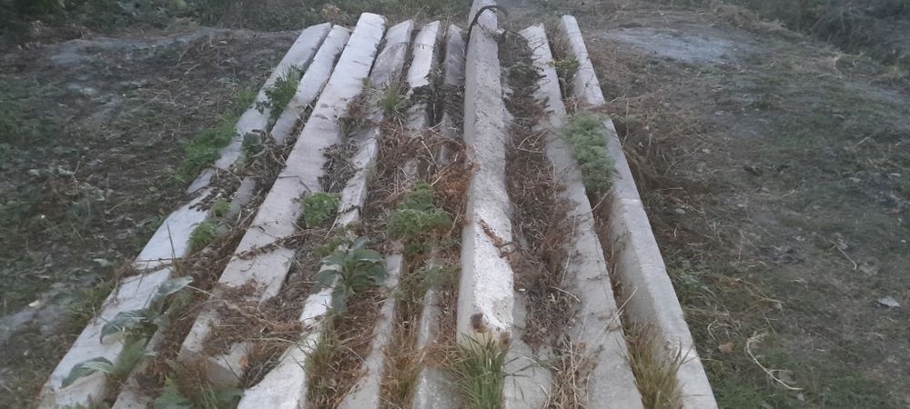 Продаются Пасынки 10кВ.