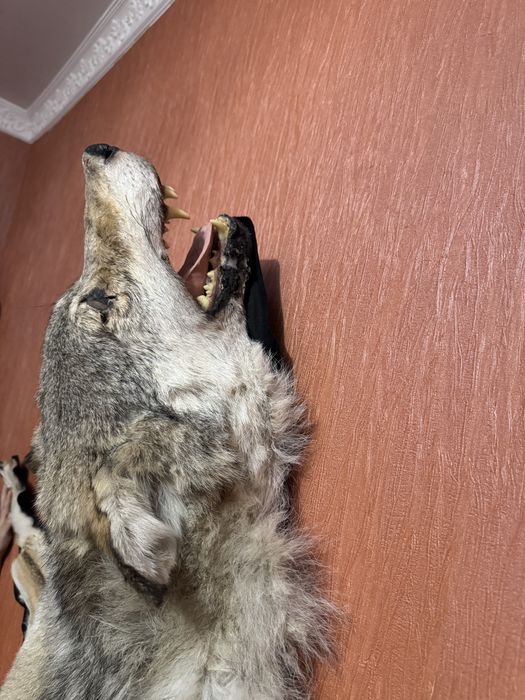 Продам Арлан В.О.Л.К