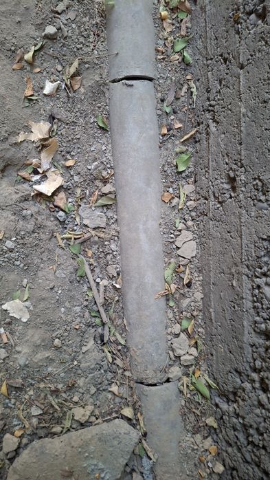 Срочно отдам бесплтано