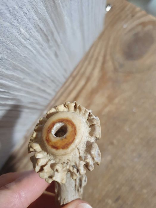 Ръчно изработен нож с рог