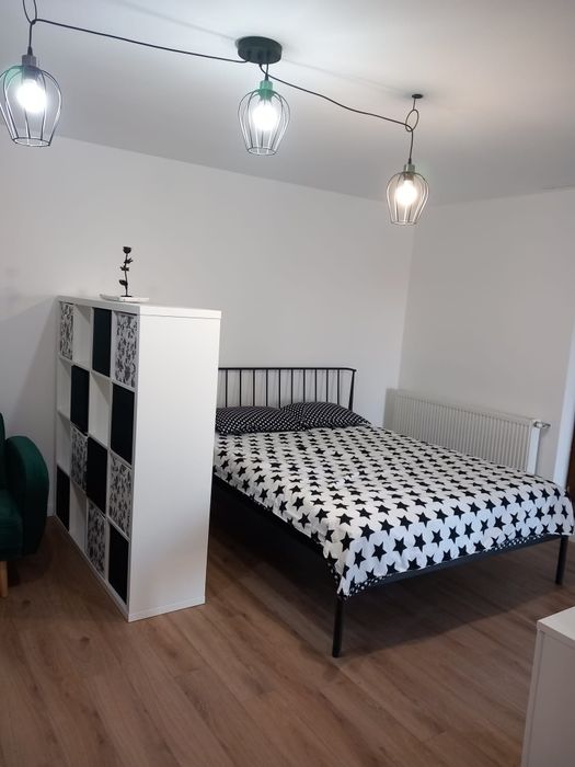 Apartament cu o camera, loc de parcare, curte privata