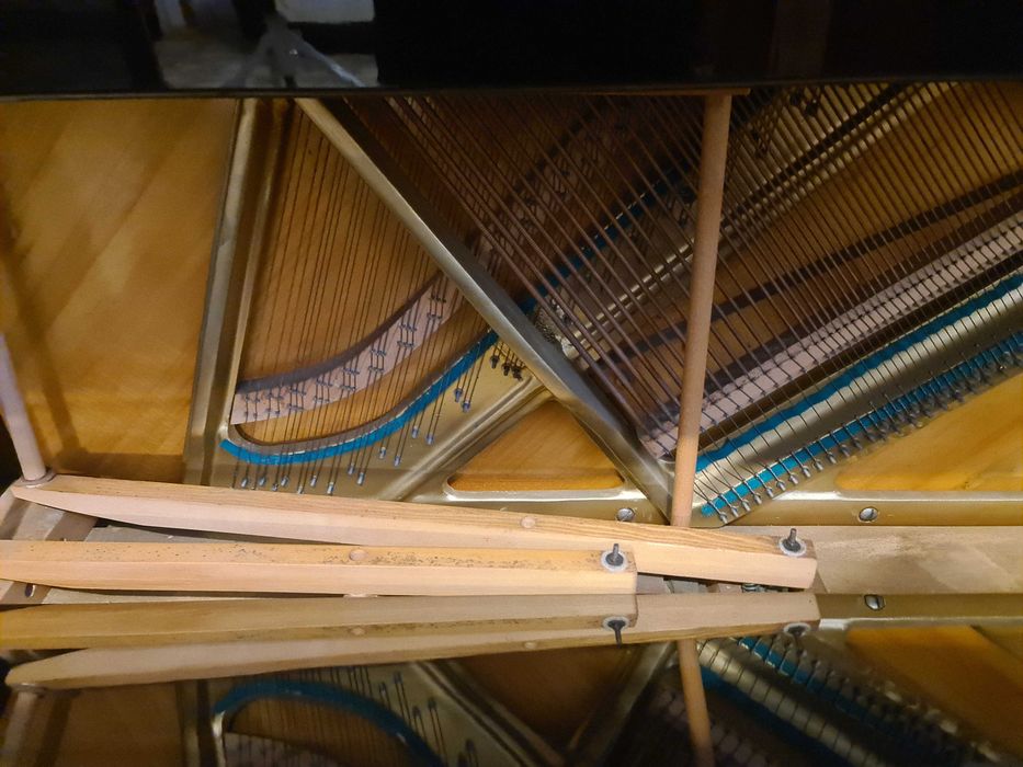 Пиано Tchaika акустично пиано