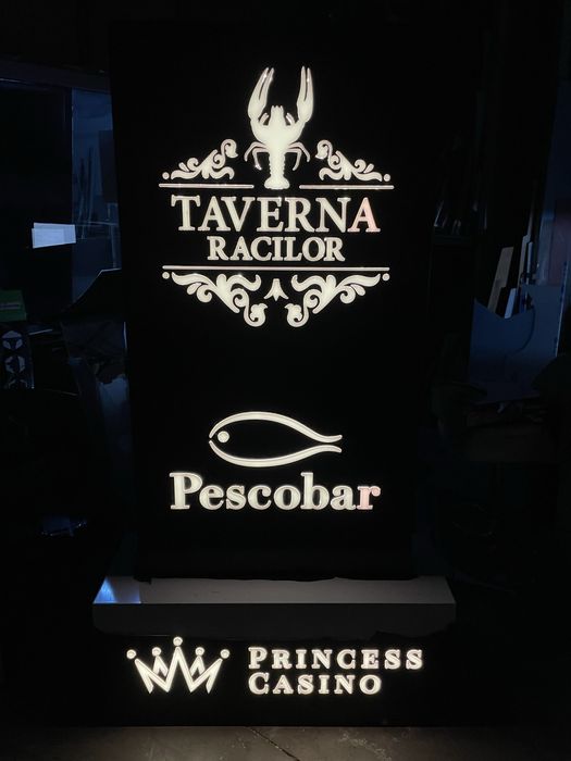 Casete Luminoase/ Litere volumetrice