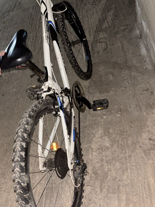 Колело Drac c mini