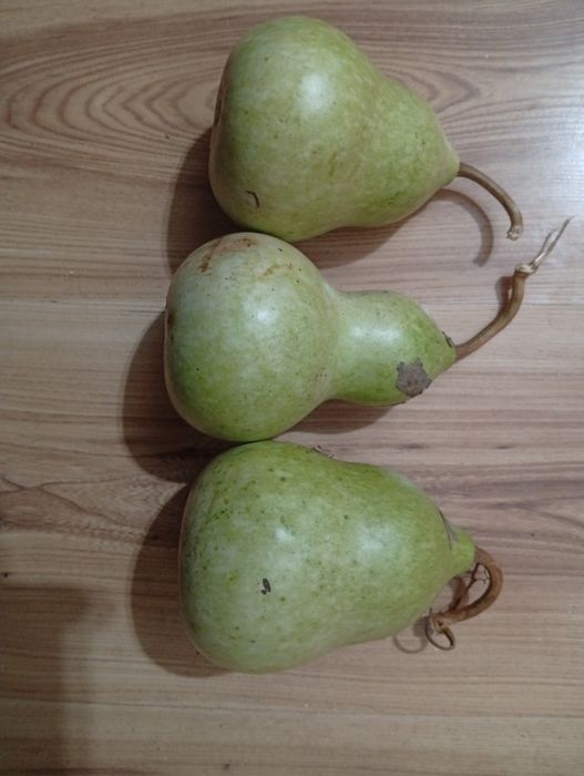 Продавам кратунки