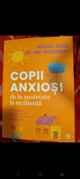 Copii anxiosi  de la anxietate la rezilienta