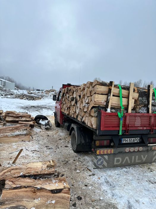 LEMNE DE FAG. Cumpără acum