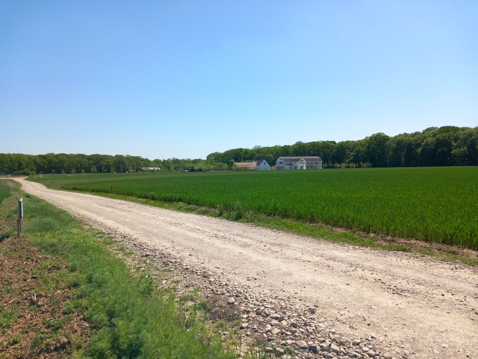 Teren intravilan 1850m