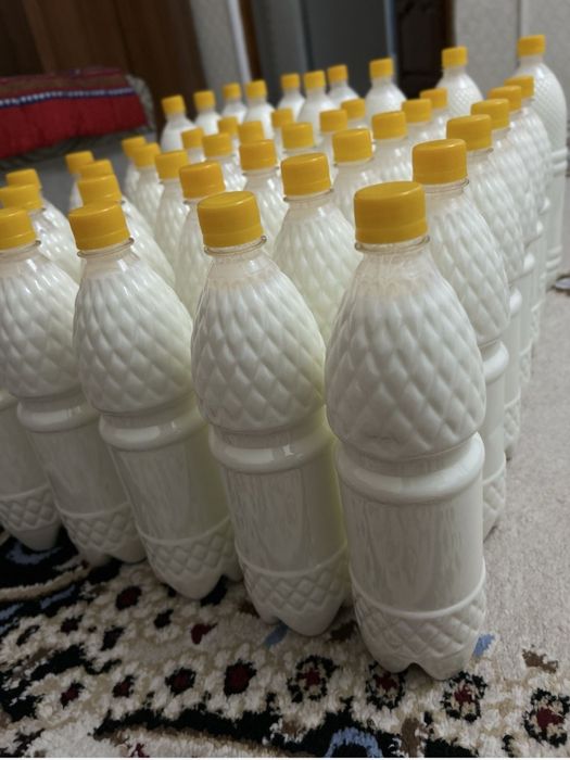 Таза 100% натуральный, свежий кымыран (шубат)