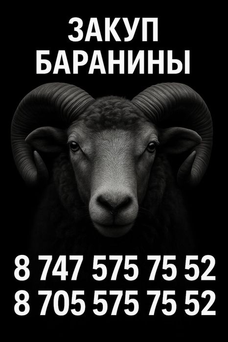 Баранина Қой еті