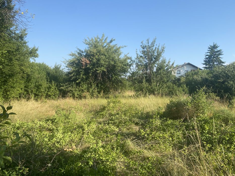 Косене на трева и почистване на парцели