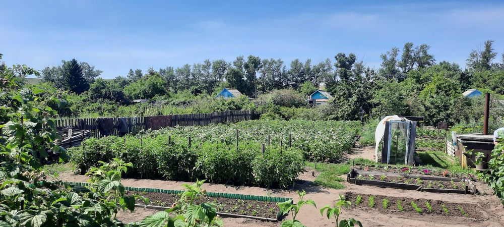 Продам дачу 1 общество