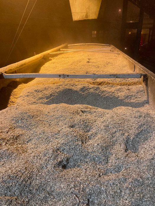 Borhot de sfecla 2025 !