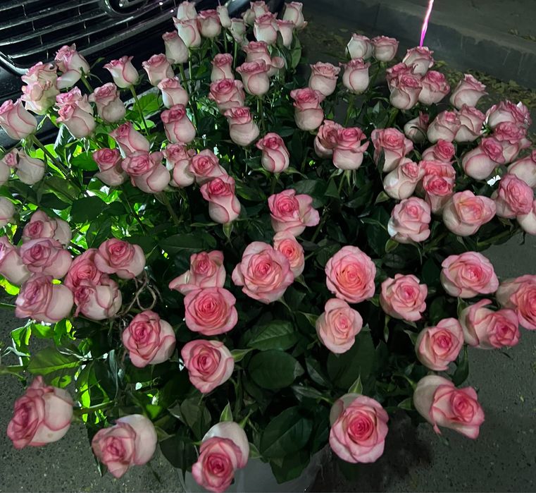 Розы 135 шт, цветы