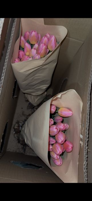 Предзаказ на Тюльпаны