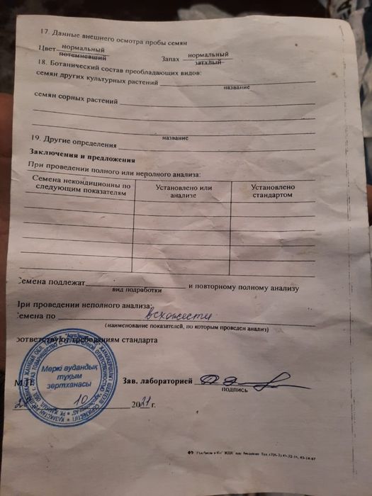 Семена Люцерна(Меркенский)