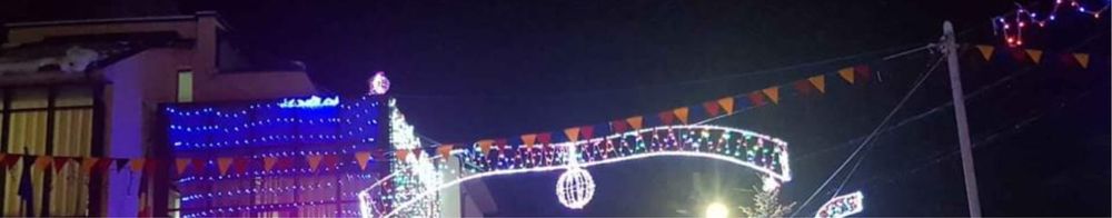 Decoratiuni de iarna