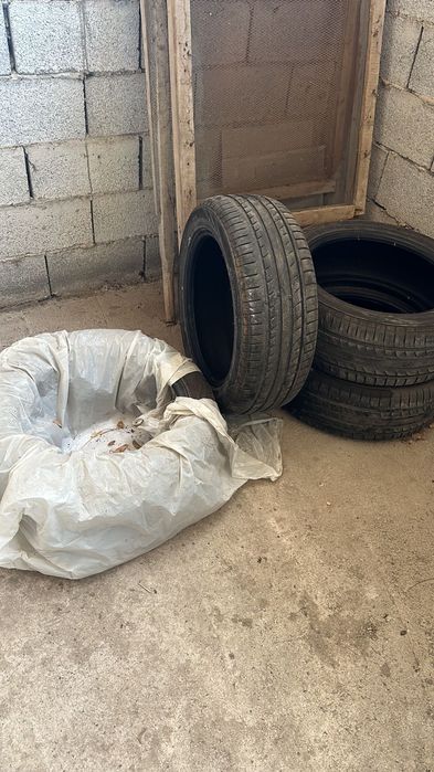 Авто шины китай год 2024