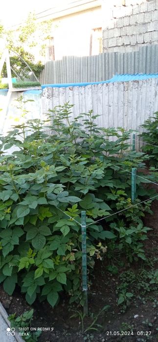 Продам/обменяю уютный дом