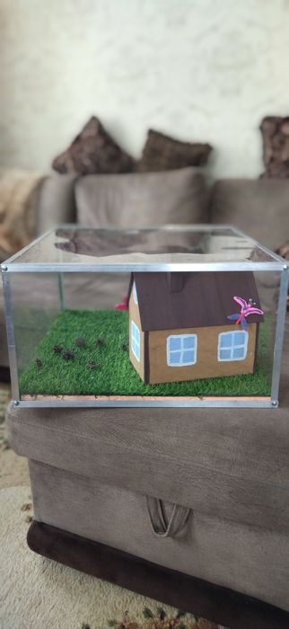 Для детских поделок. В школу. Террариум.