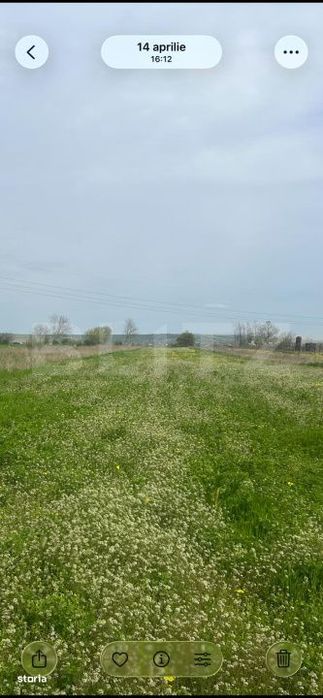 Teren intravilan, 500 mp, Geormane