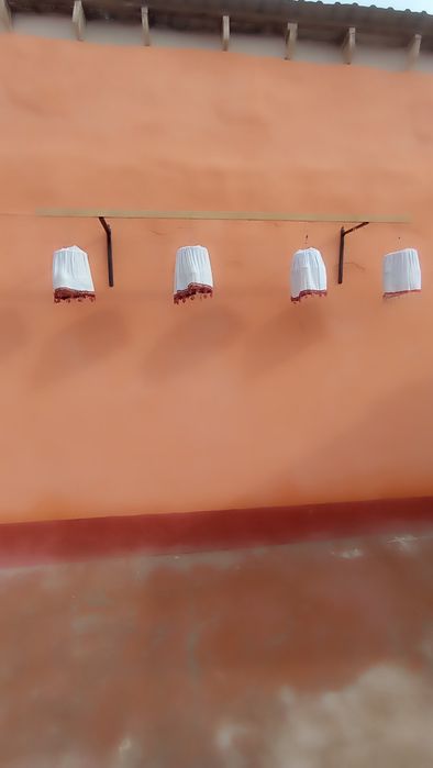 Беданалар сайрок 24/7 ешбеданалар 150000 дан келишамиз