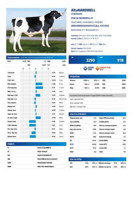 Семя быка из Америки Алта Генетик Suniy urug‘lar