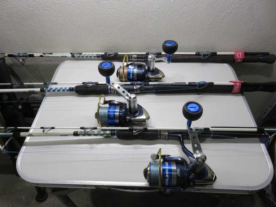 Тролинг въдици Dragon Boat Master Jig с Okuma Salina и въдици Trabucco