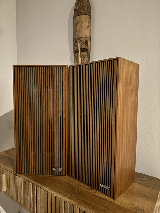 Boxe Blaupunkt LAB305