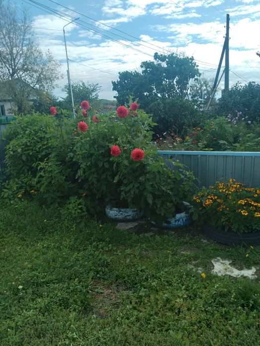 Продам дом в Имантау