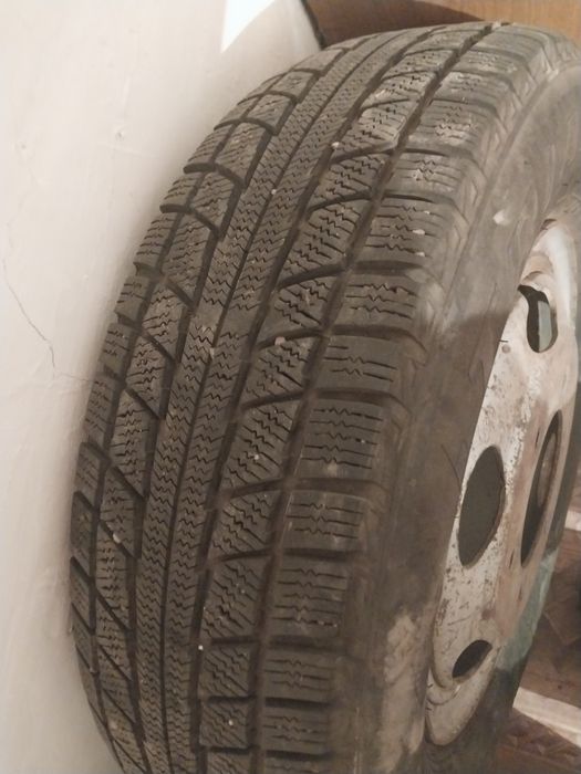 Шина Triangl c диском