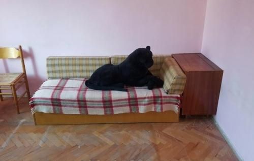 Дава се под наем Двустаен апартамент в София, Гоце Делчев - 65 кв.м за 550 € - Снимка #1