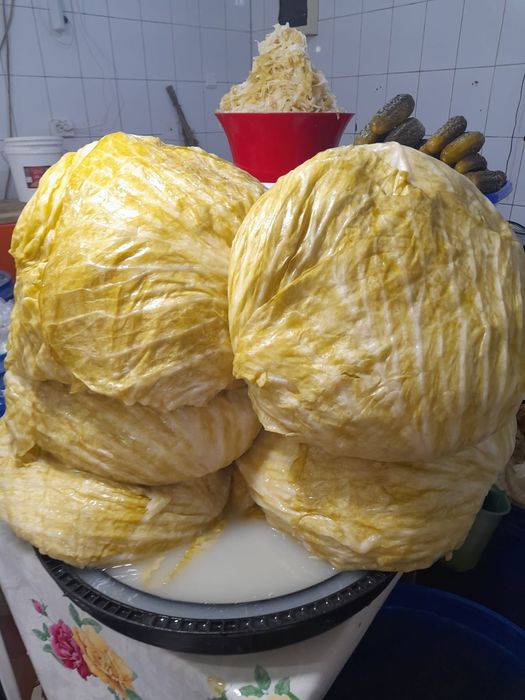 Varză murată tradițională de buna calitate