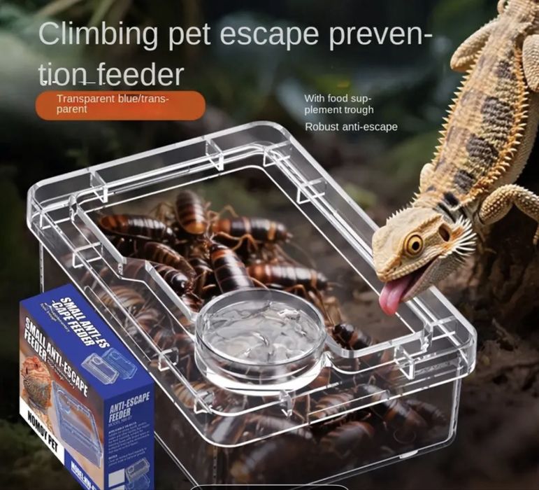 Accesorii terariu NOI