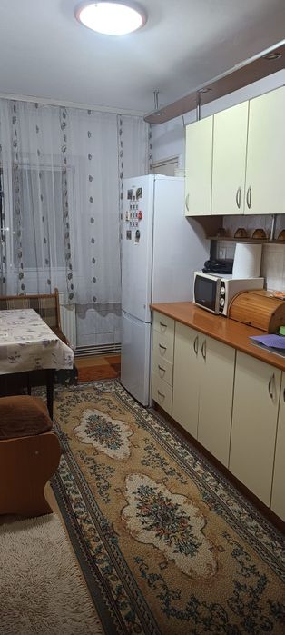 Caut colega apartament