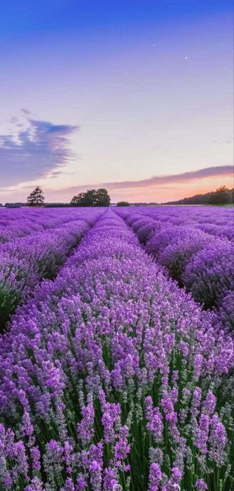 Психотерапия для взрослых