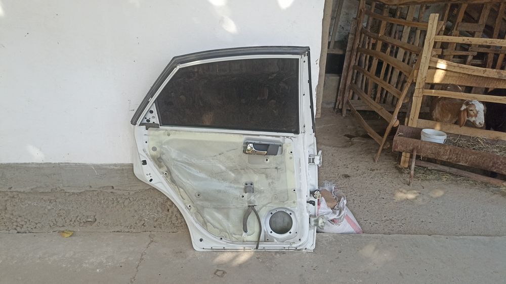 Jentra Radnoy detallar bor kumga nimasi kerak  boʻsa bor