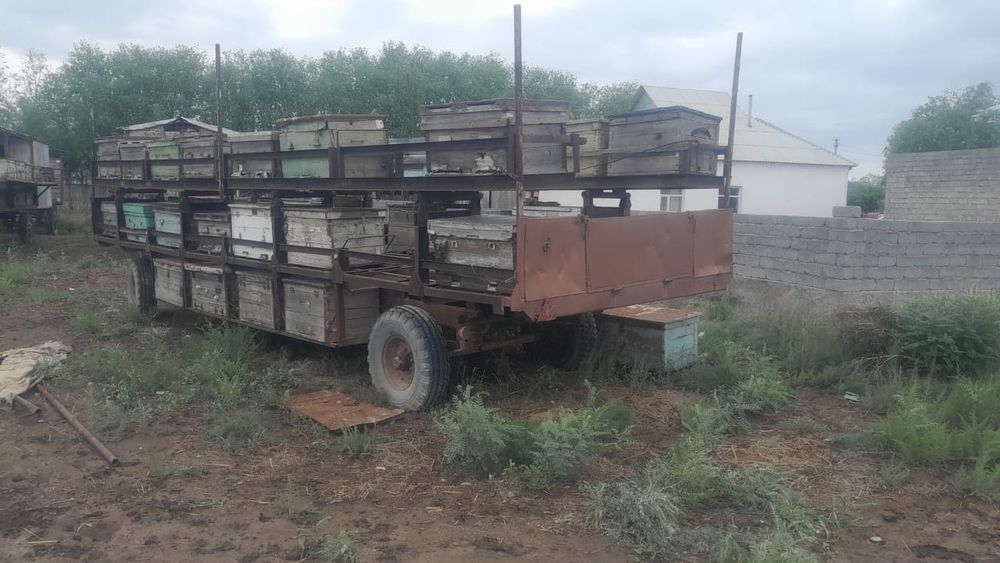 Продается пчеловодческий прицеп