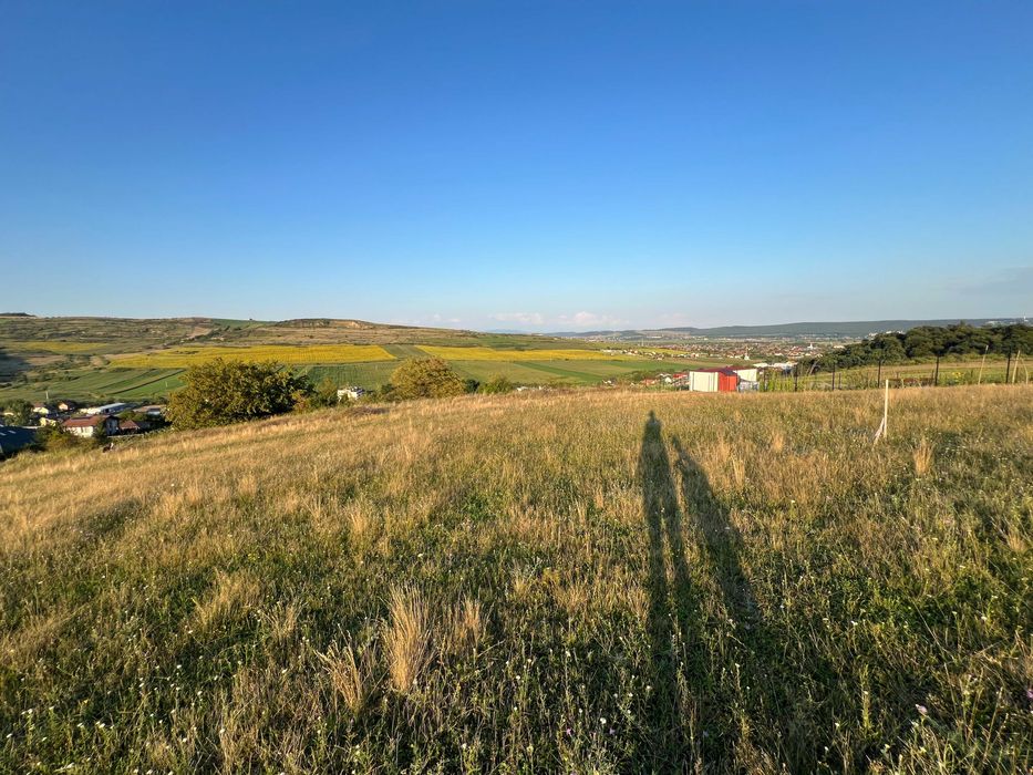 Doua terenuri de 600 mp construibili de vanzare cu panorama superba