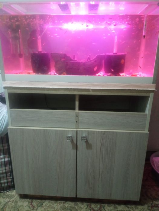 Новый уютный аквариум